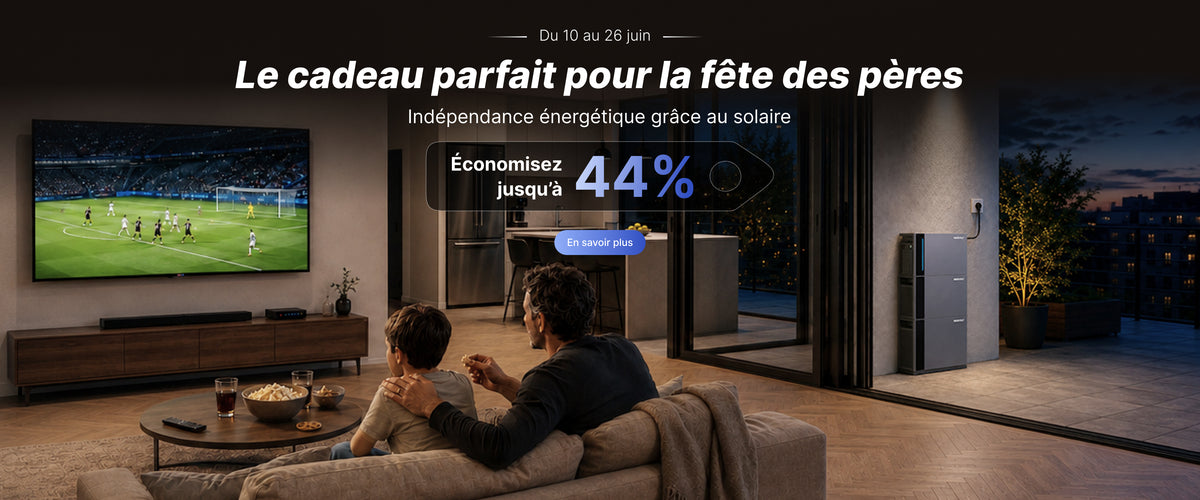 Indevolt France