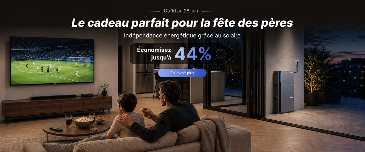 Indevolt France
